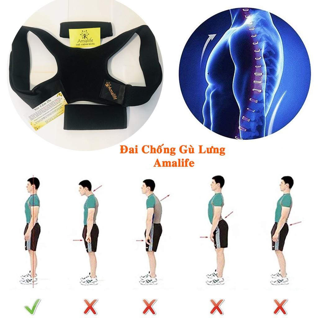 Đai Chống Gù Lưng Cho Trẻ Em Từ 5-12 Tuổi Cao Cấp Chính Hãng Amalife