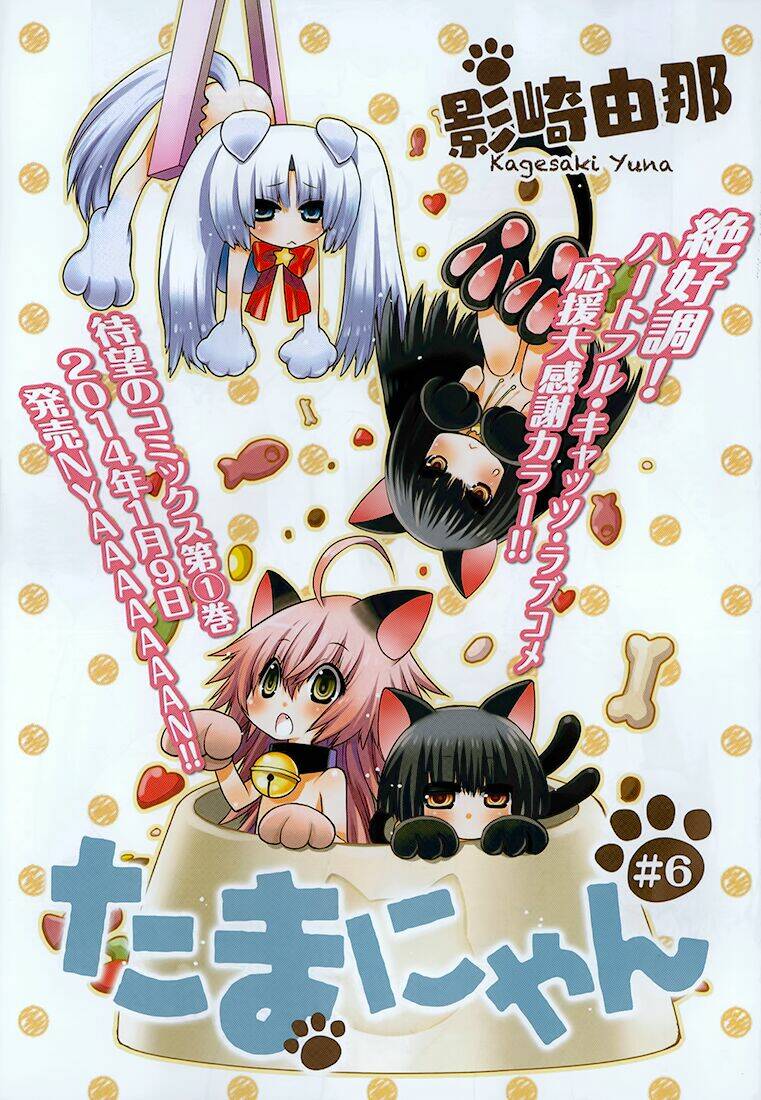 tamanyan chapter 6 3