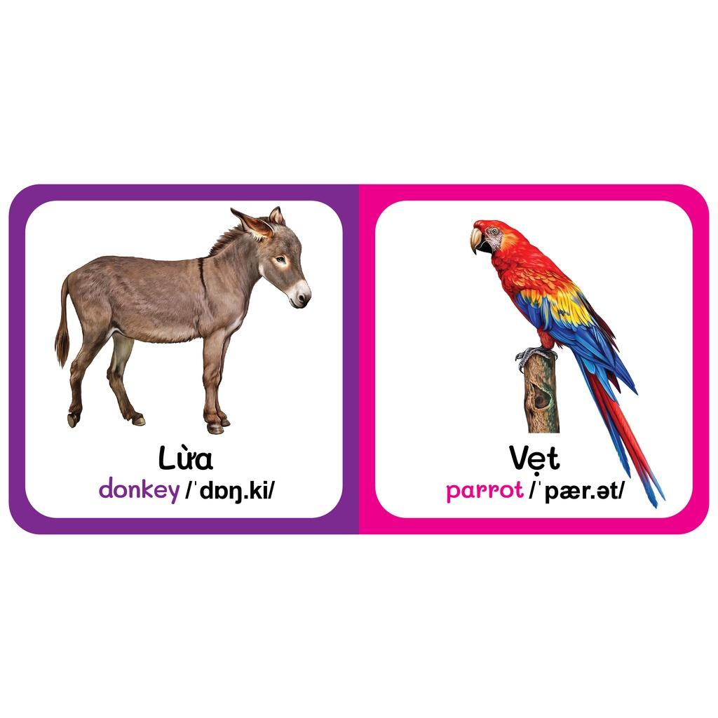 Sách - Baby'S First Picture Dictionary - Từ Điển Bằng Hình Đầu Tiên Của Bé - Động vật Nuôi - Farm AniMals (Bìa Cứng)