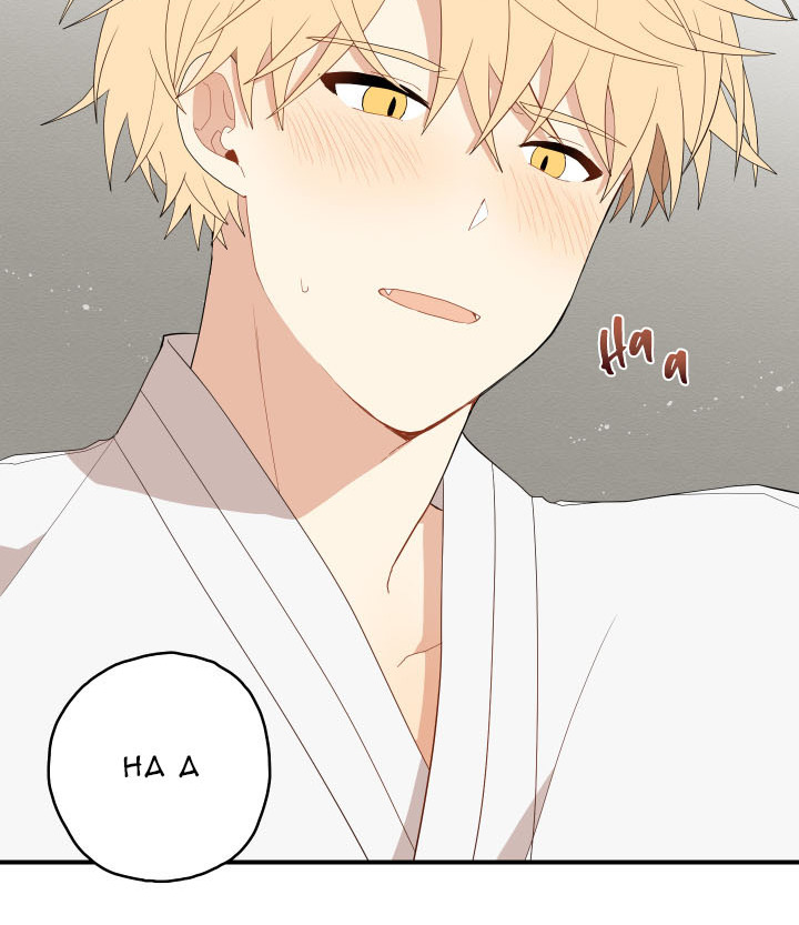 đường hoa liên kiều rơi chapter 19 59