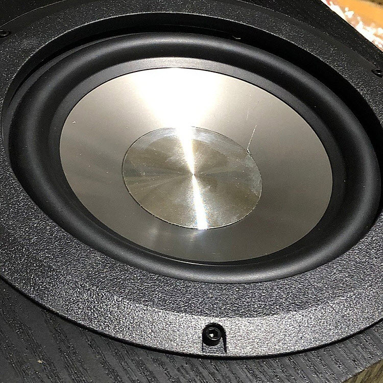 Loa Trầm Điện Subwoofer Công Suất Lớn 100W SU650D AnZ