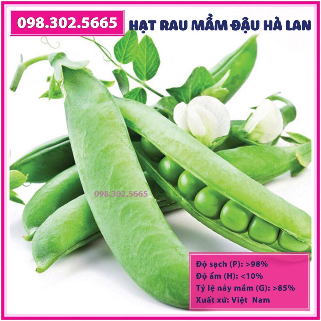 Bộ 10 gói Hạt rau mầm đậu hà lan - gói 90g - Trồng rau mầm sạch, rau mầm hữu cơ an toàn tại nhà