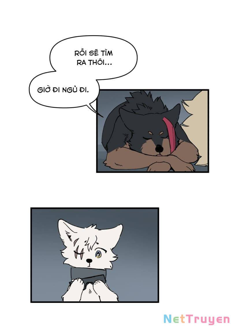 lumine - cội nguồn ánh sáng chapter 147 5