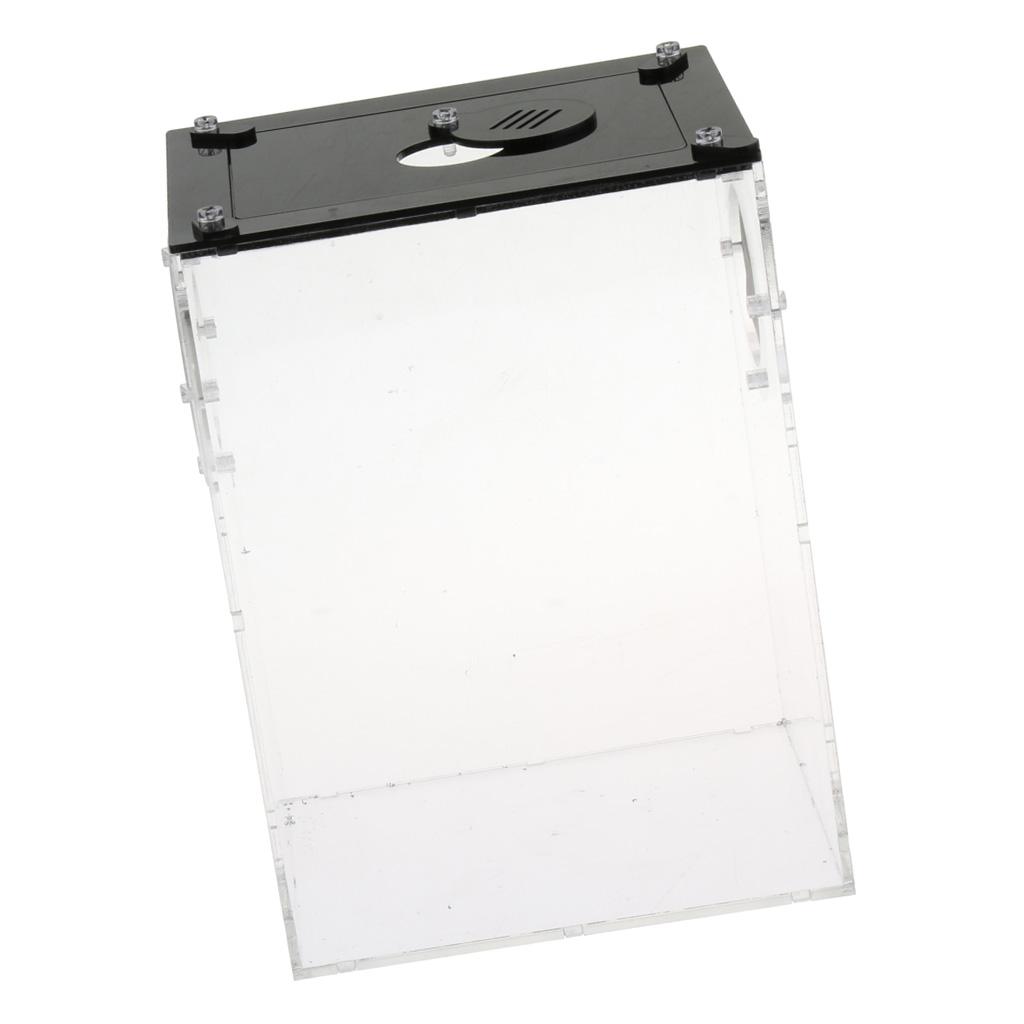 2pcs Reptile Feeding Box Transparent Cage Hatching Container For Lizards