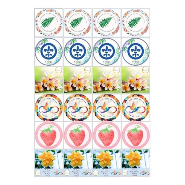 24 Decal Thanh Tẩy trộn 6 mẫu