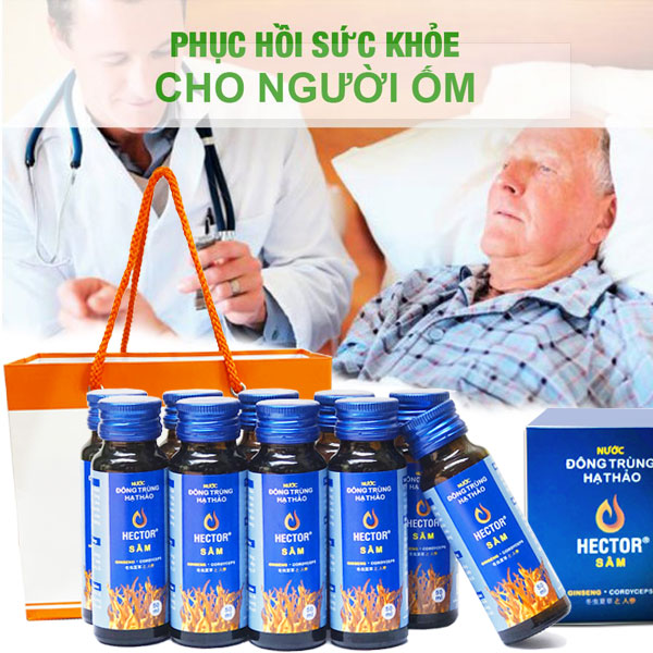 Combo 3 hộp 30 Chai Đông trùng hạ thảo Hector Sâm giúp tăng sức bền, sức khỏe cơ thể (Date mới)