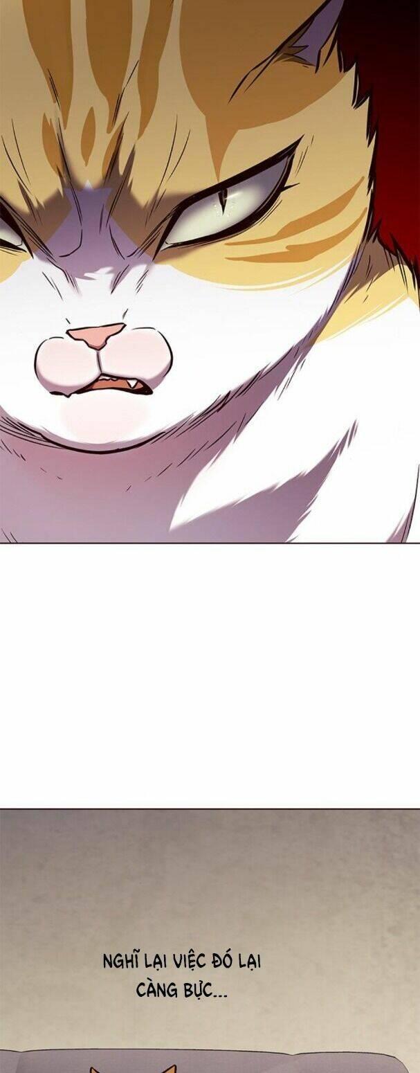 biến thân thành mèo chapter 173 35