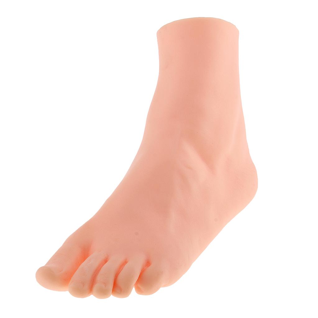 6x21.5cm Female Left Foot Mannequin Dummy Mould Sandal Shoe Sock Display Model