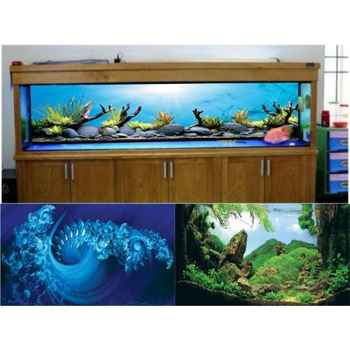 Tranh trang trí bể cá các kt: 120x60, 180x90