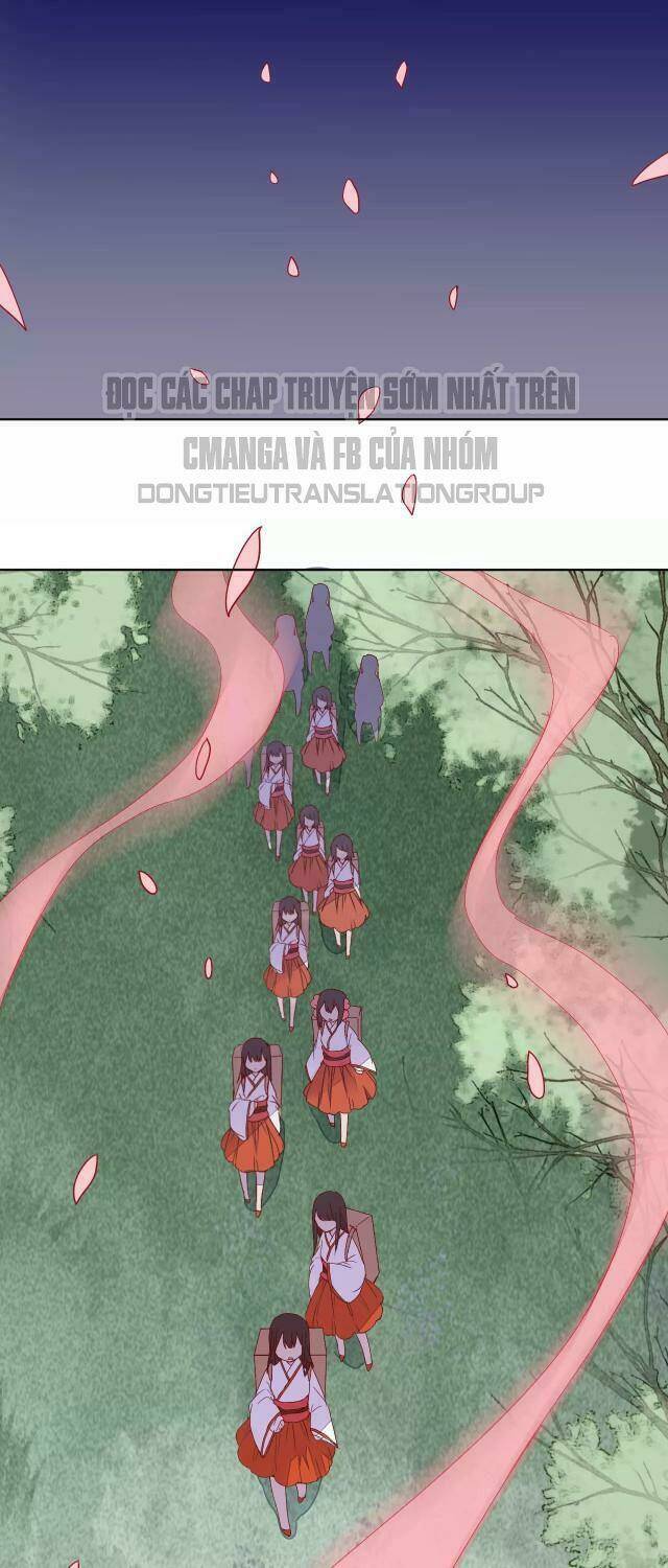 đốt đào hoa chapter 68 5