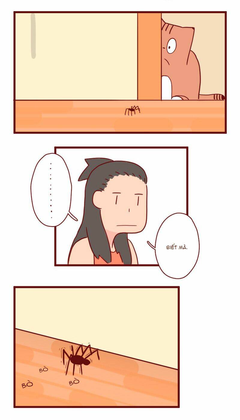 saphie: chú mèo một mắt chapter 17 11