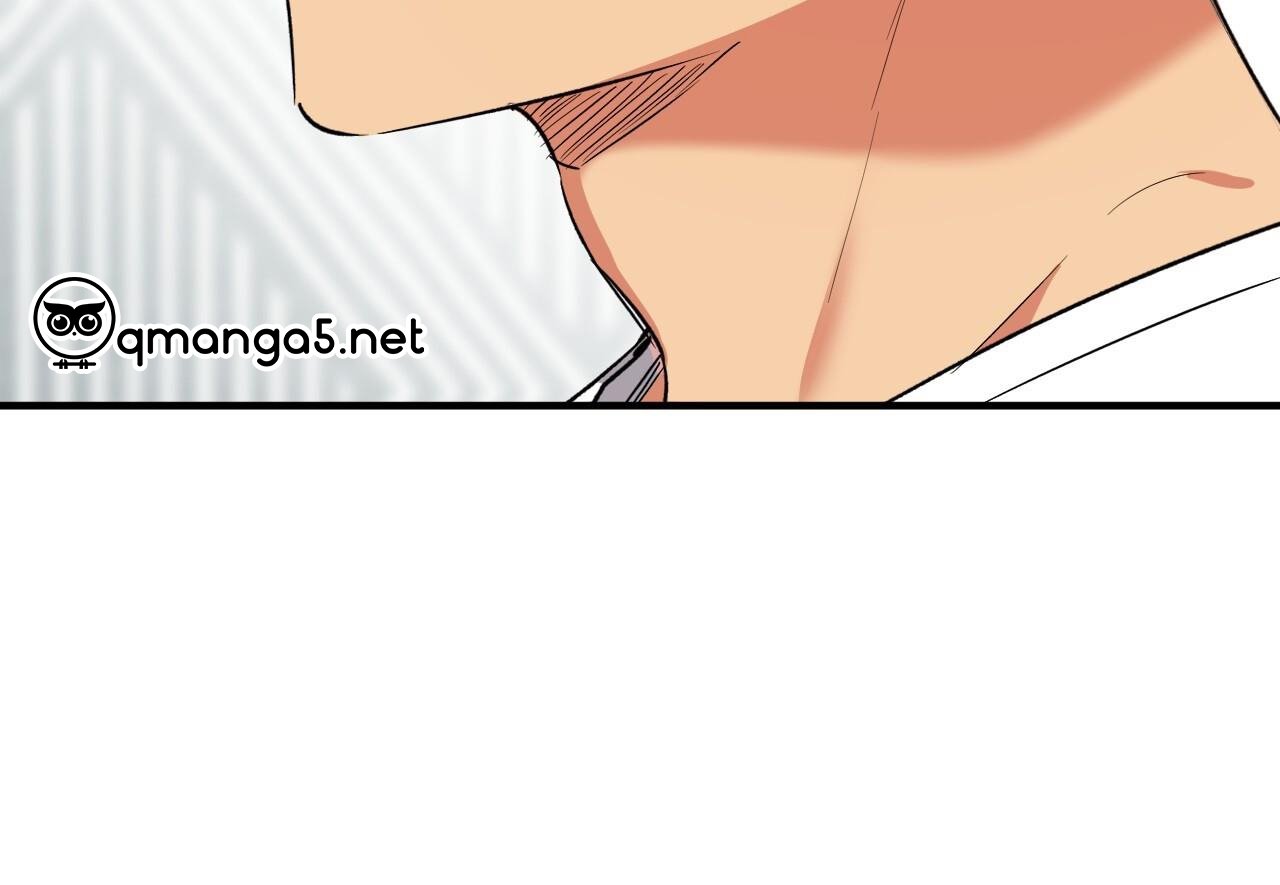 những chú thỏ của hapypy chapter 60 235