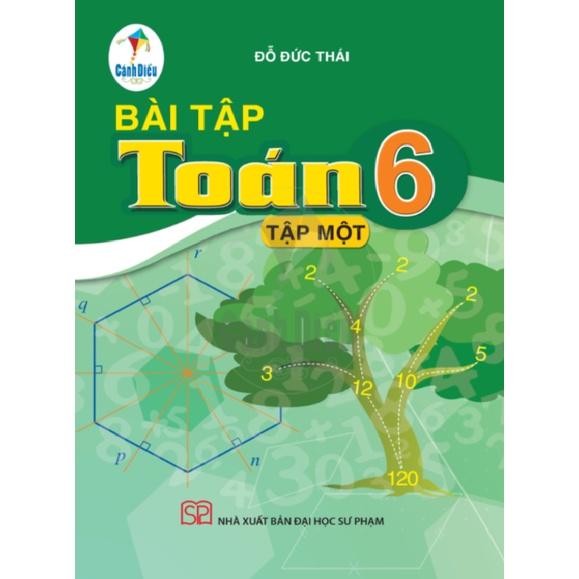 Bài Tập Toán lớp 6 tập 1 - Bộ Cánh Diều