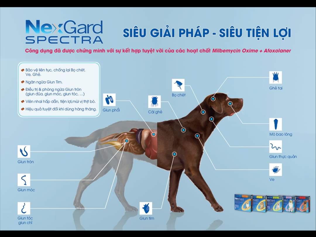1 viên NexGard Spectra trị giun, ghẻ, viêm da, ve rận