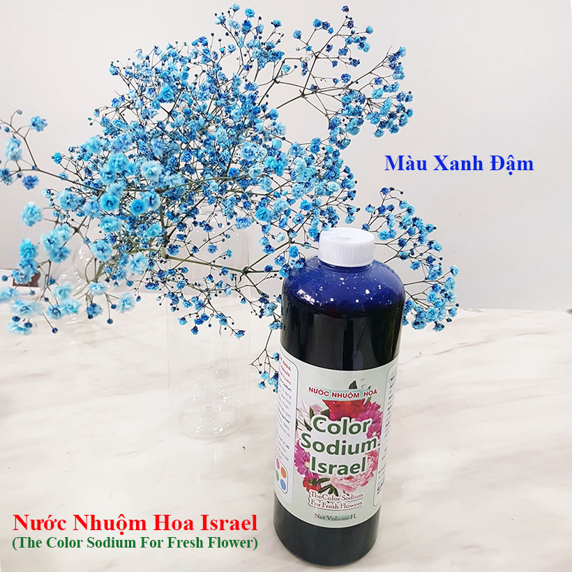 Dung Dịch Nhuộm Hoa Cắt Cành Đổi Màu theo Công Nghệ Israel giúp hoa nhuộm đổi màu theo ý muốn – The Color Sodium for Fresh Flowers