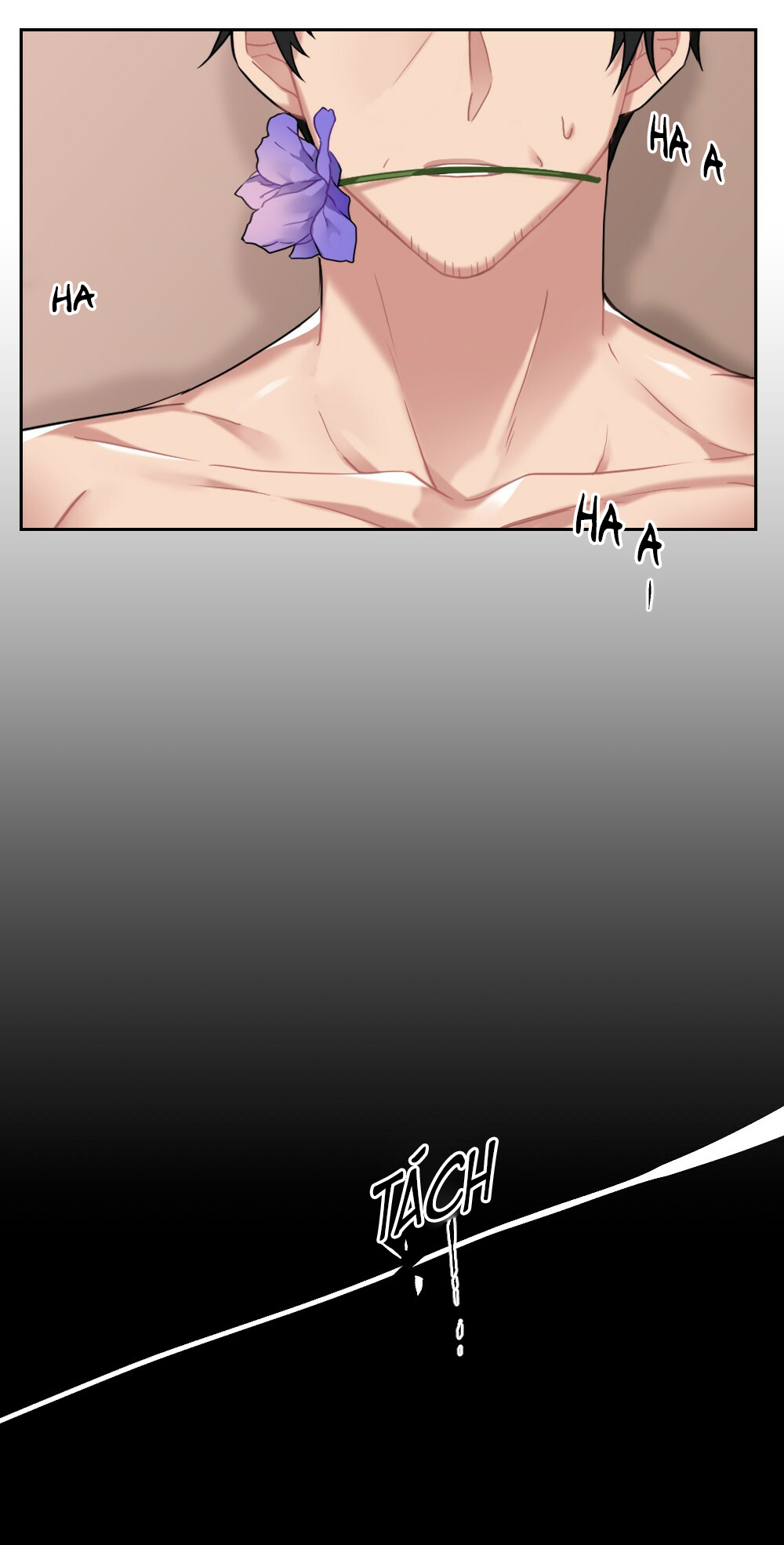 tiểu thư và dàn hầu nam mlem chapter 10 41