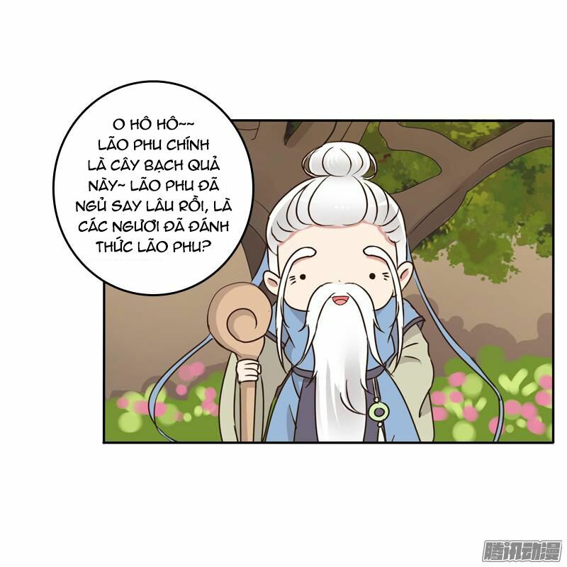 thông linh phi chapter 87.5 5