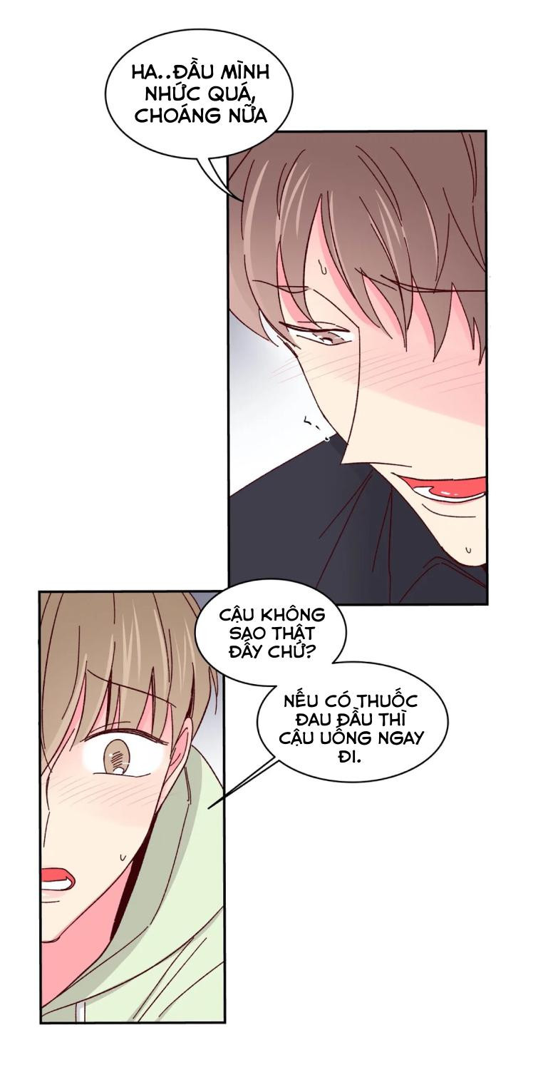 món tráng miệng của sếp tổng chapter 54 36