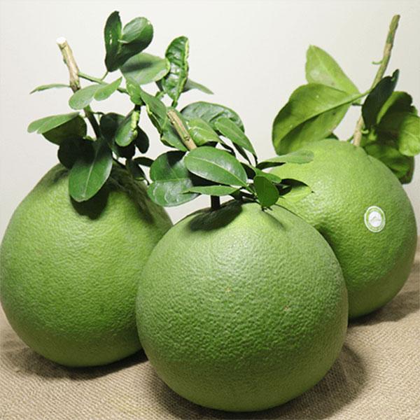 Bưởi da xanh miền bắc