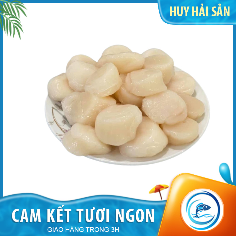Còi sò điệp tươi - Khay 500g