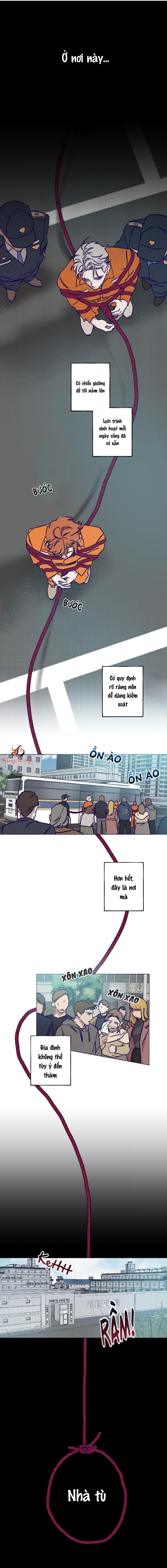 phi vụ nơi trại giam chapter 1 1