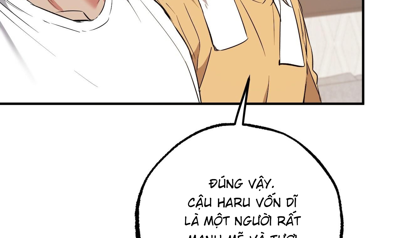 đàn thỏ của habibi chapter 55 131