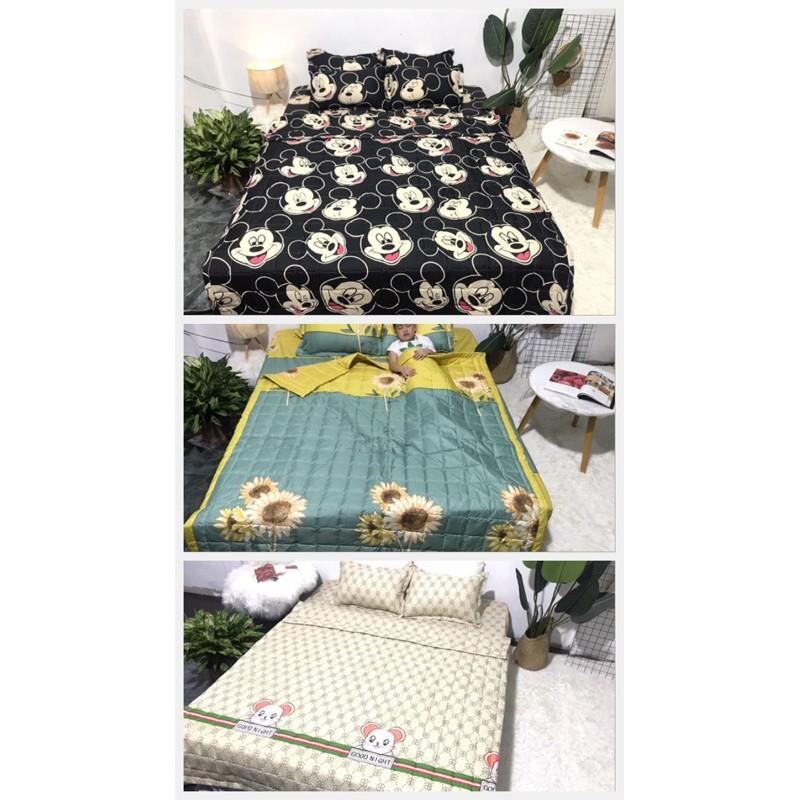 Bộ ga gối chăn trần hè cotton poly 1m6x2m