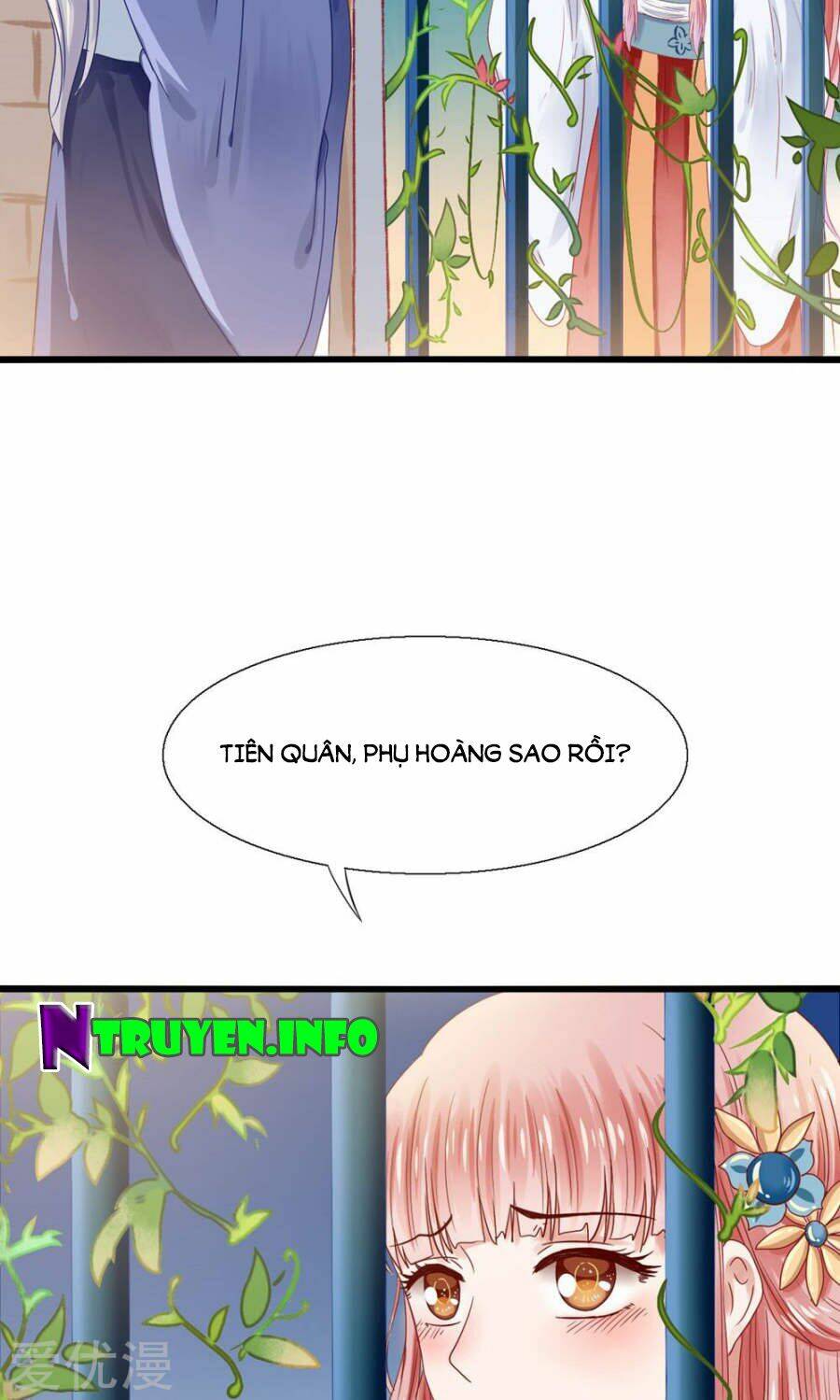 tôi bị gấu trúc nhìn trúng rồi chapter 2 4