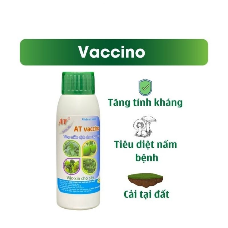 Chế Phẩm Trị Thối Thân Thối Hoa Héo Rũ Phấn Trắng, Khô Cành Khô Quả, Chảy Gôm Trên Cây Trồng - AT Vaccino Đậm Đặc 100ml