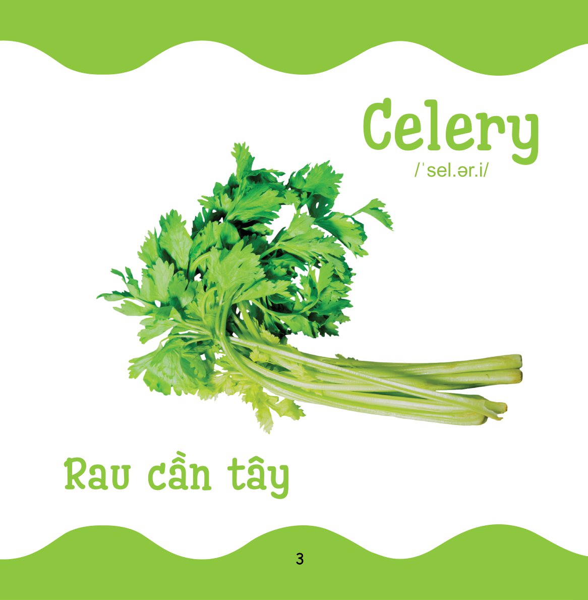 Cùng Con Trưởng Thành - Từ Điển Bằng Hình Cho Trẻ Mầm Non - Rau Củ Quả _DTI