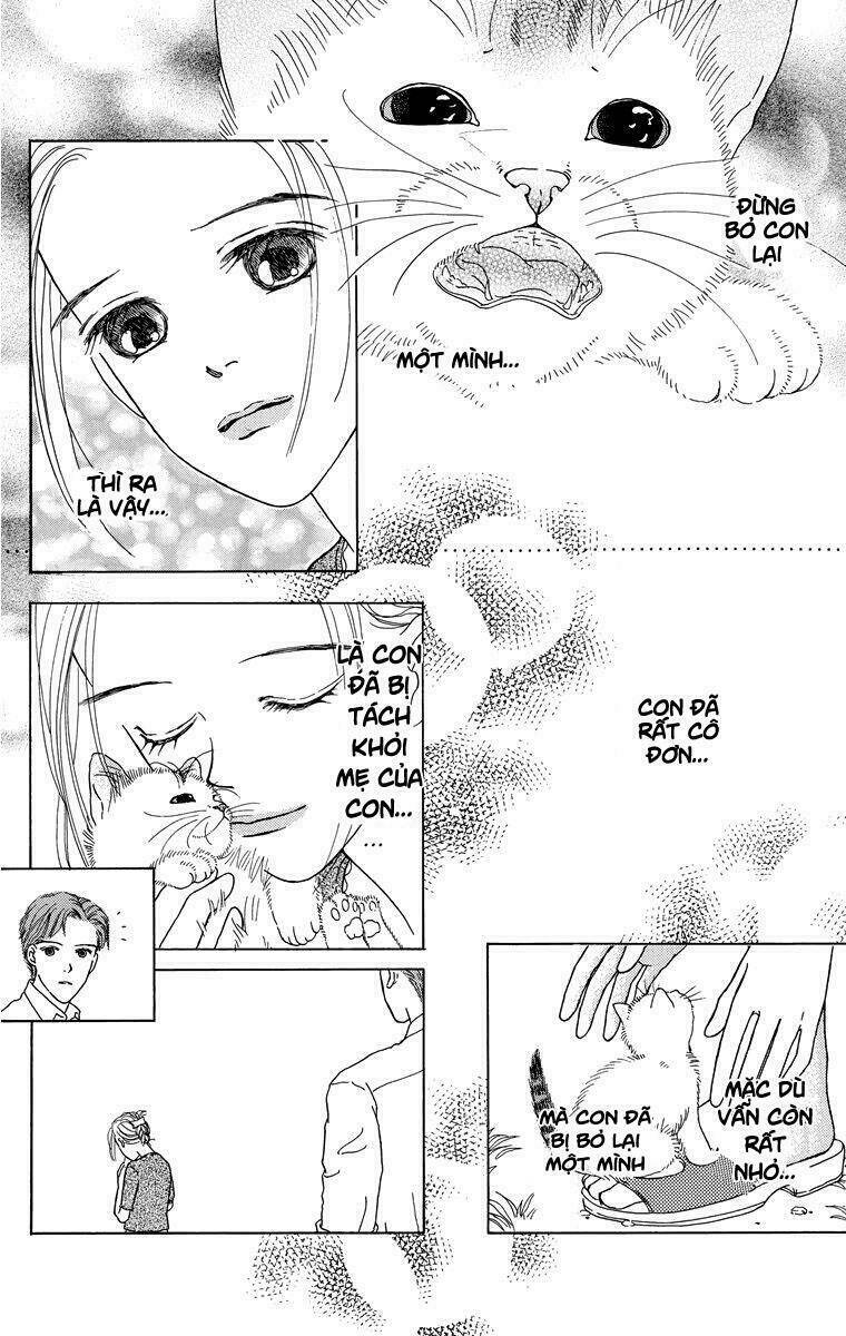 cuộc sống thường nhật của mèo zaccho chapter 1.5 30