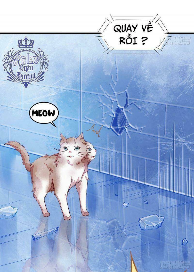 sát thủ vương phi không dễ chọc chapter 44 10