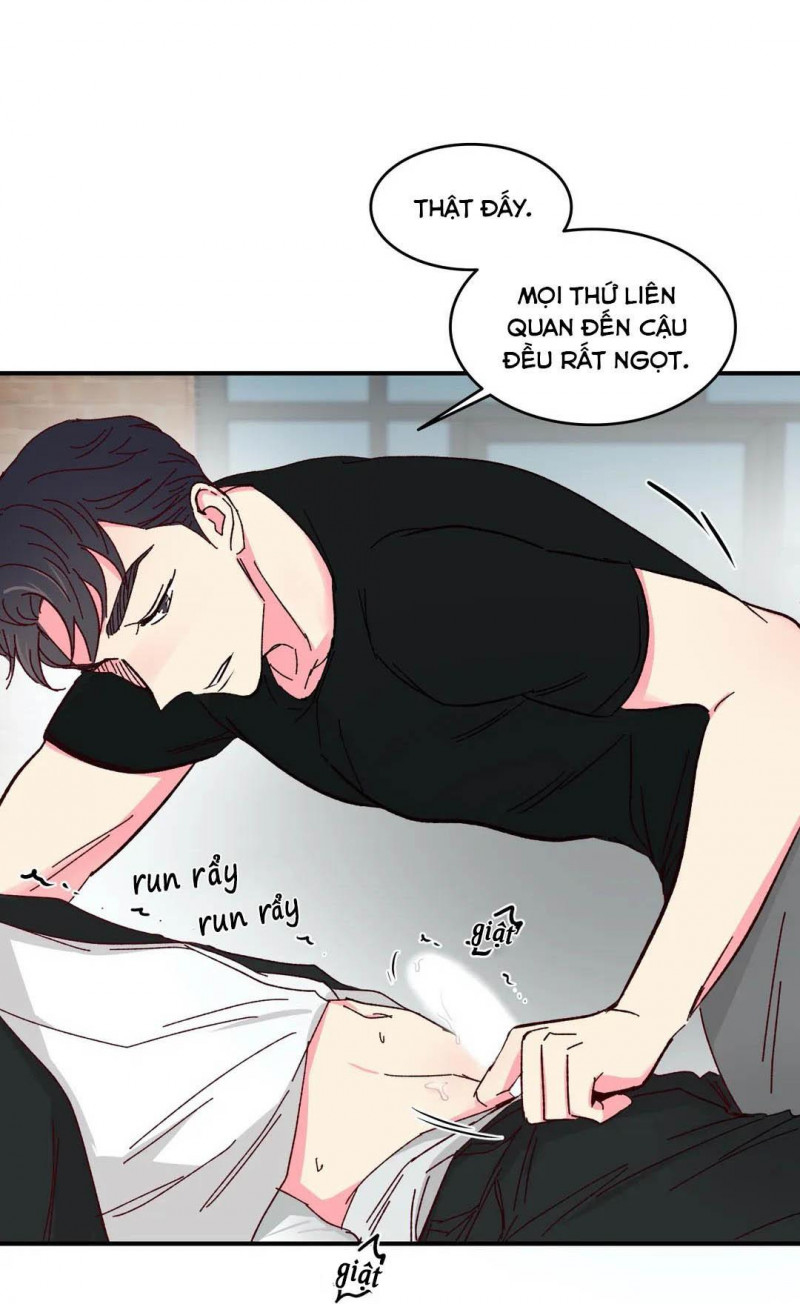 món tráng miệng của sếp tổng chapter 46 15