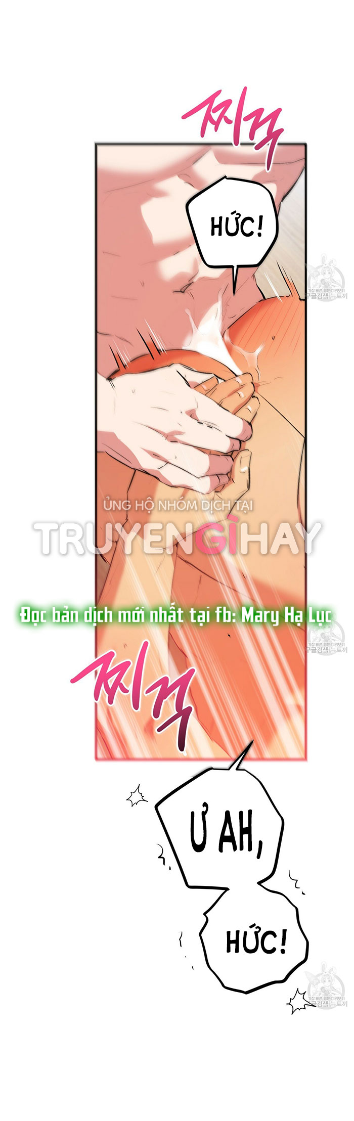 những chú thỏ của hapypy chapter 43 64