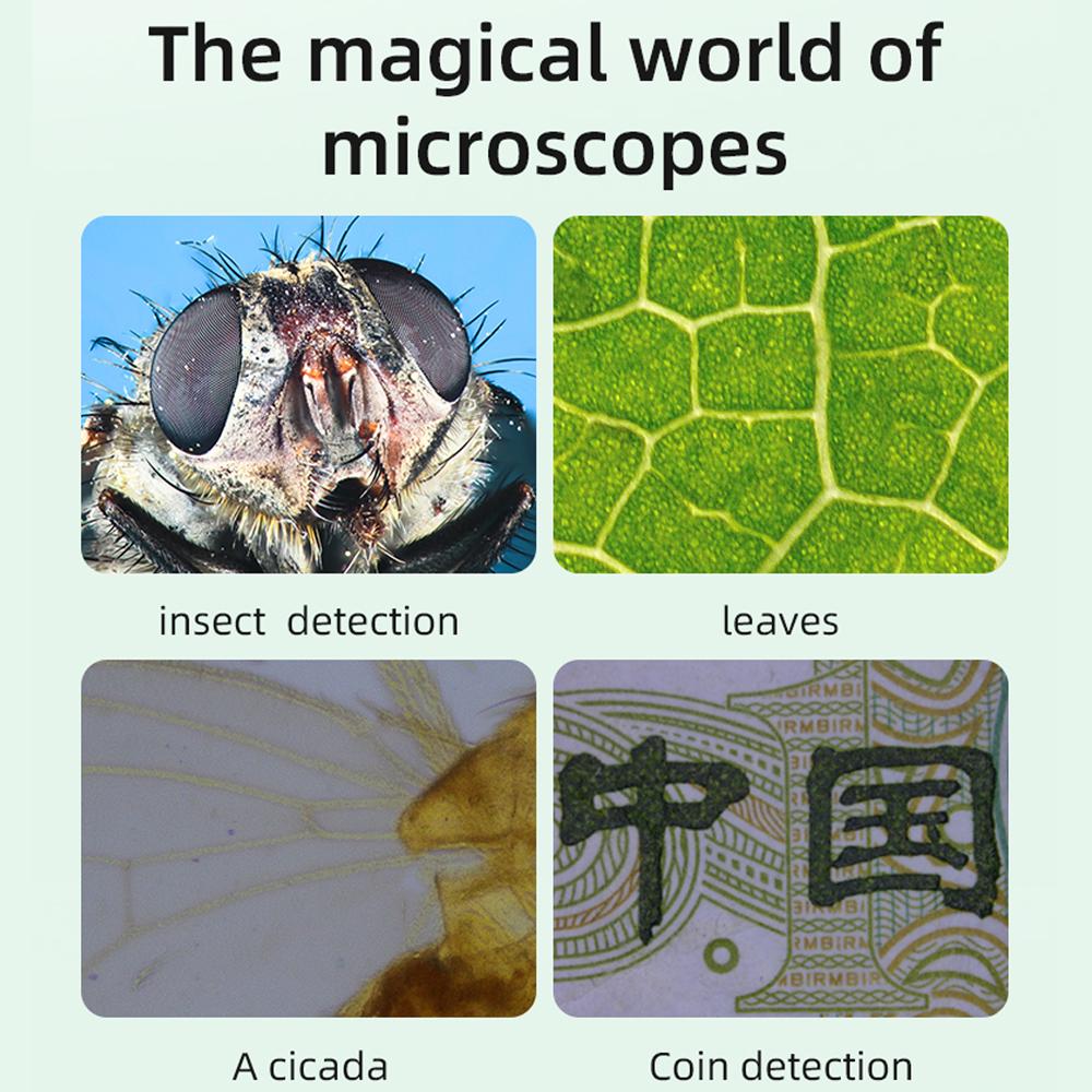 4.3 Inch Display 1000X Digital Microscope Photo Video Taking with 8 Adjustable LED Lights Lifting Aluminum Alloy Stand for Jewelry Identification Mobilephone Repairs