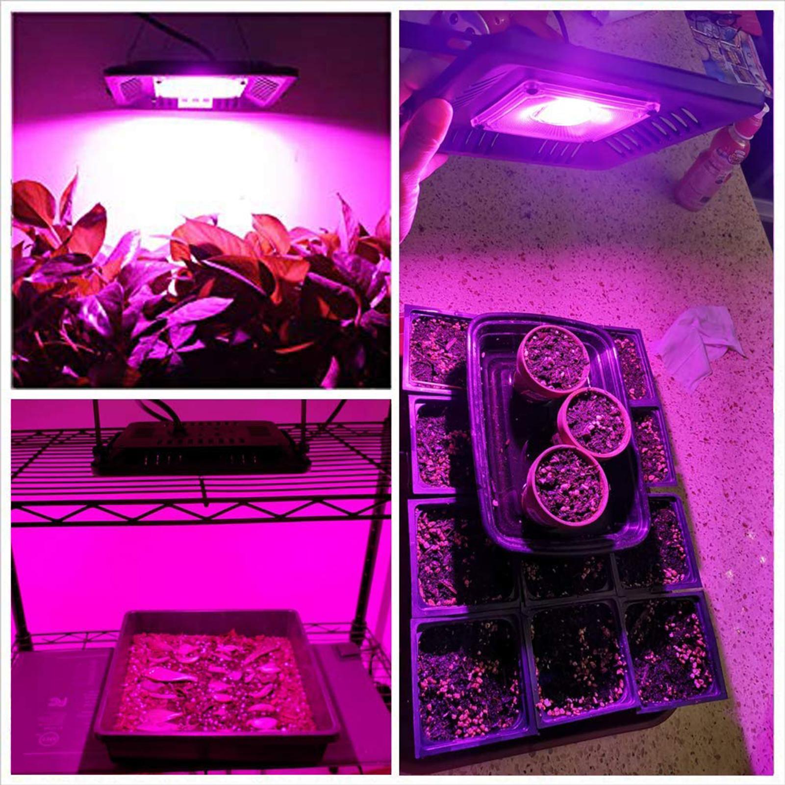Đèn led kích thích cây trồng phát triển 150W với Ánh sáng Grow Full Spectrum tốt nhất, chip LED hiệu quả cao,khả năng chống thấm nước và chống bụi IP67