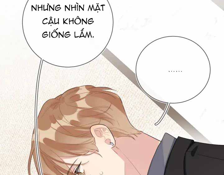 Minh Nhật Tinh Trình chapter 28