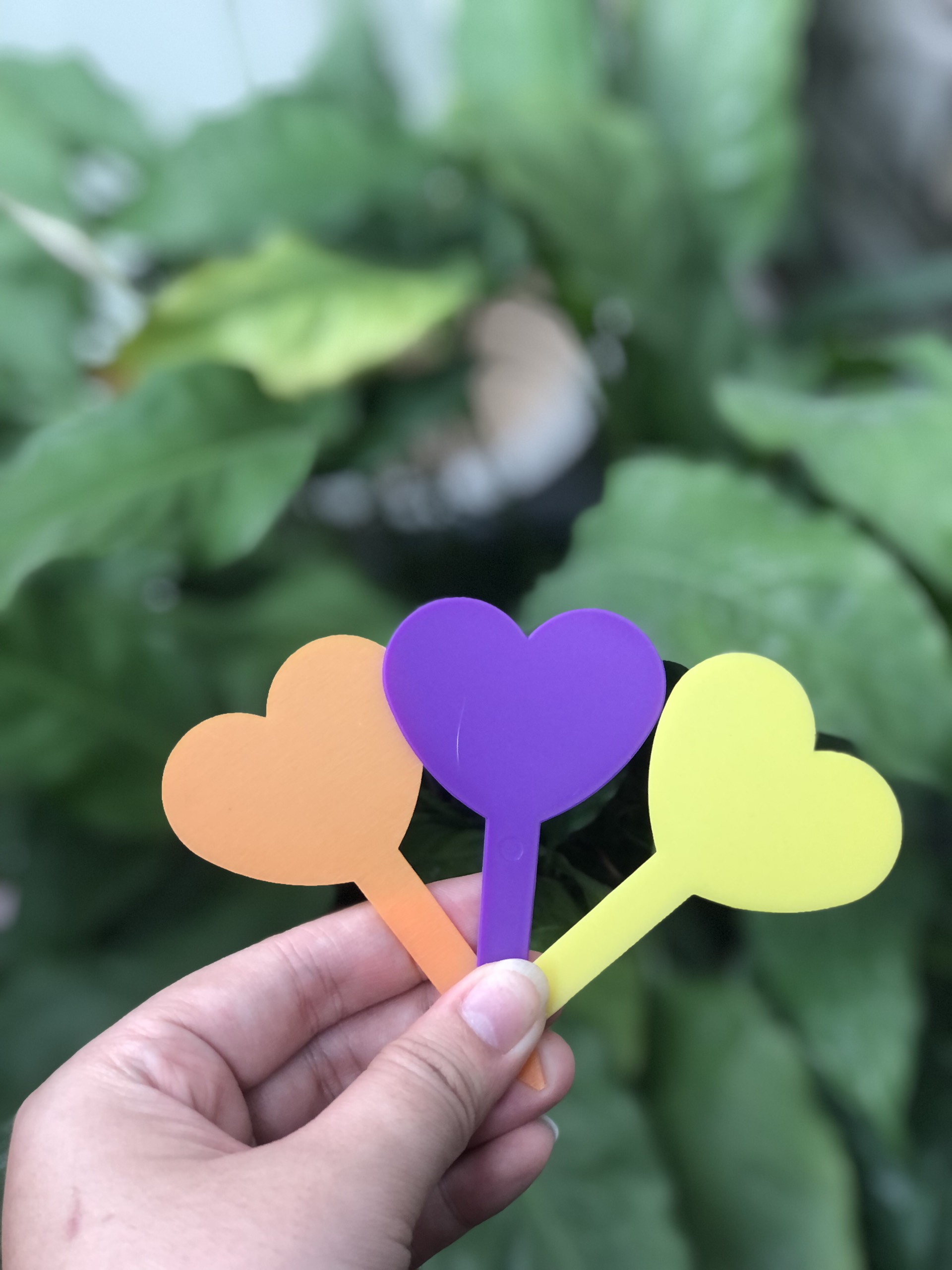 Thẻ ghi tên hoa kiểng, lan dạng cắm hình trái tim - bịch 100 cái