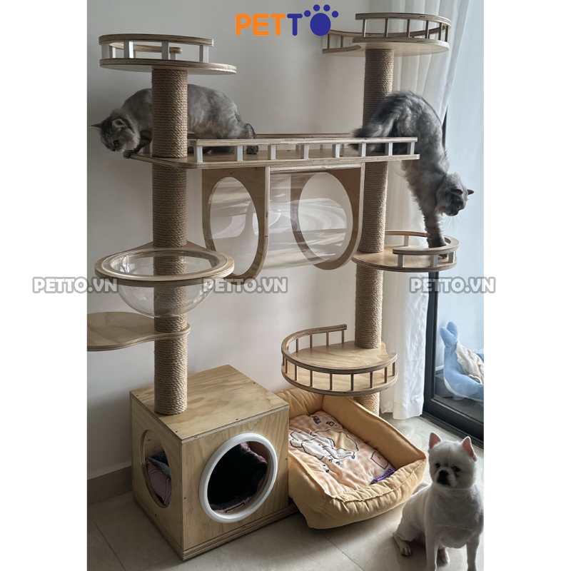 Cattree bằng GỖ cho mèo THÁP ĐÔI kết hợp LỒNG KÍNH cao 1m7 cho nhà nhiều mèo CH047