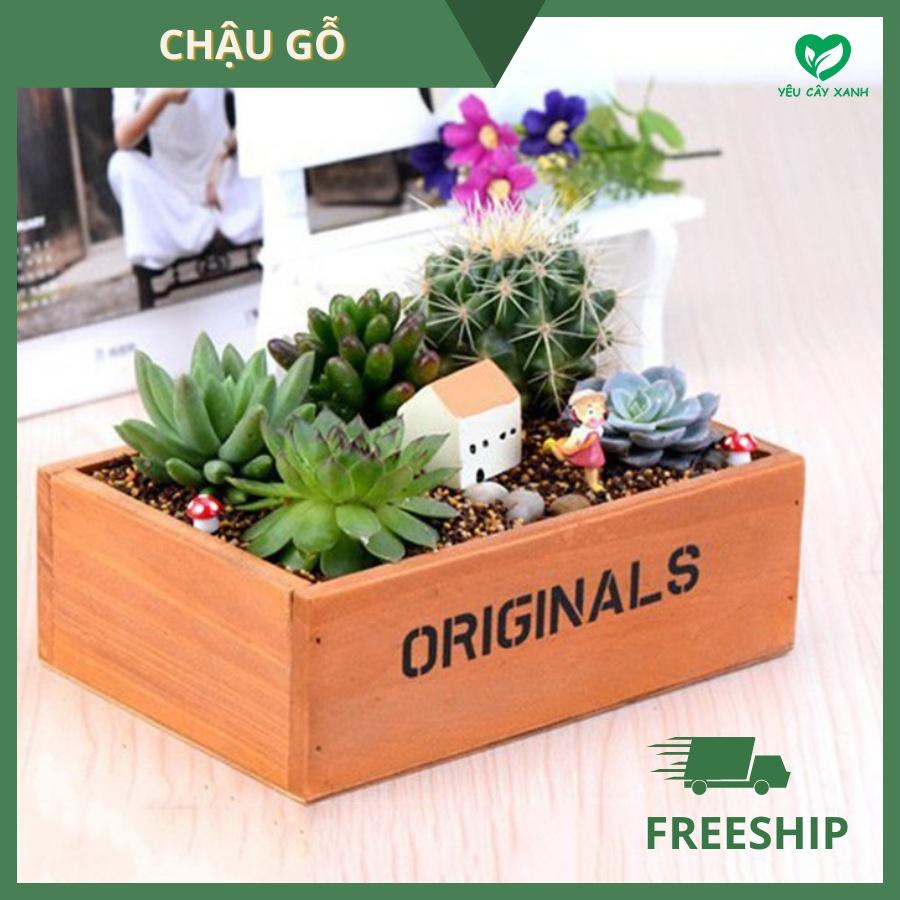 Chậu Gỗ Trồng Cây Cảnh, Sen Đá, Xương Rồng - Chậu ORIGINALS