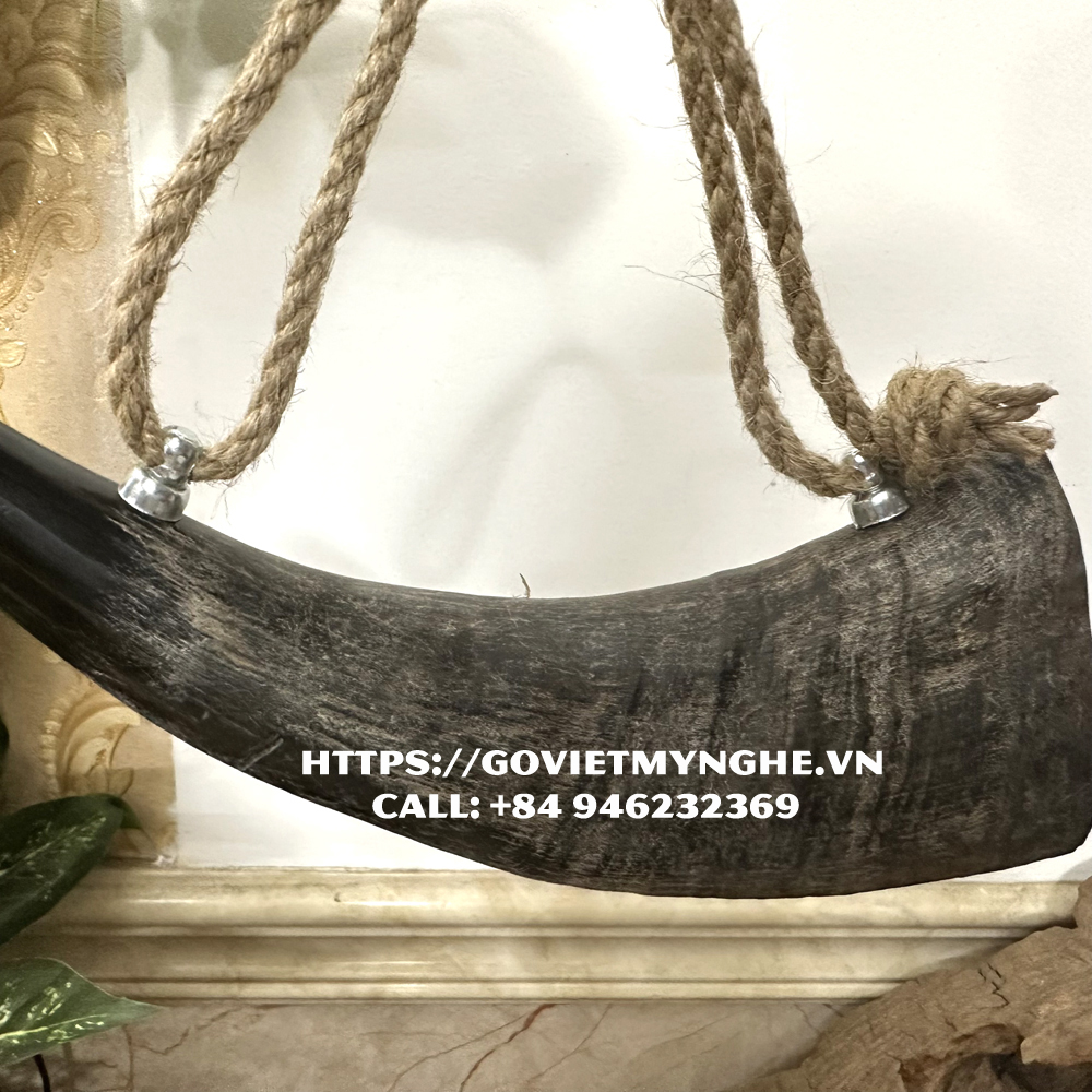Kèn tù và sừng trâu - Dài 25cm - Loại sừng trâu thô