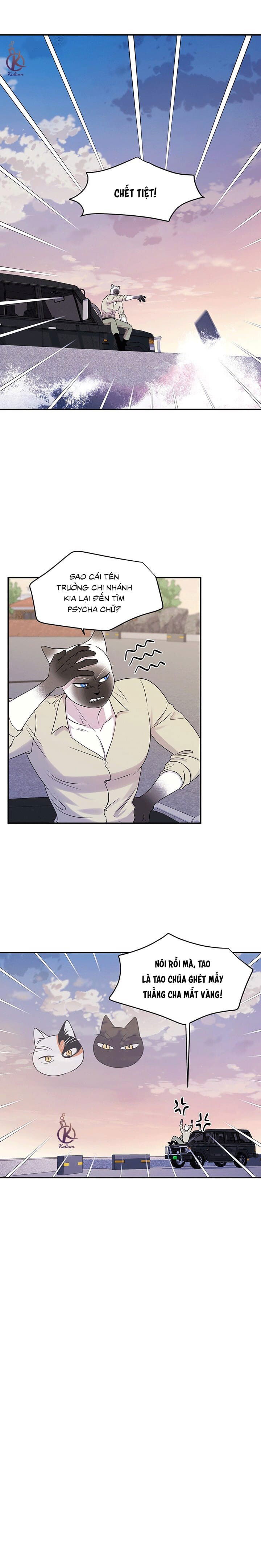 dự án xanh chapter 31 9