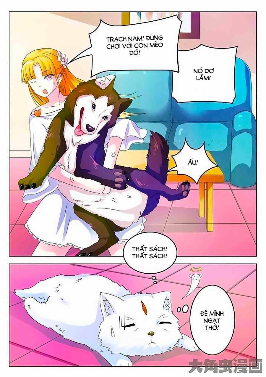 mau lấy con mèo đó ra chapter 3 3