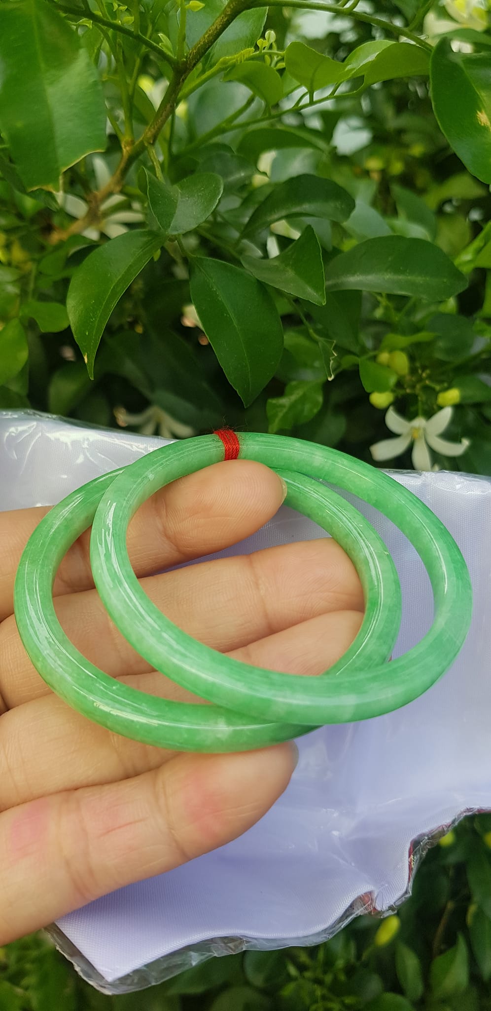️Cặp vòng tay đá ngọc cẩm thạch bản vuông V Đậu 50mm Size vòng 50mm x dầy 5mm x bản mỏng cao 5mm màu xanh lá ngọc đậu đều bóng đẹp Nữ Mệnh Mộc Hoả Thủy 49kg - 53kg đeo ạ