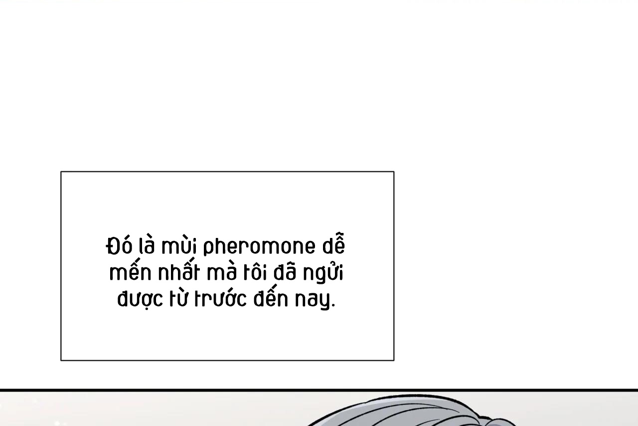 ám ảnh pheromone chapter 53 21