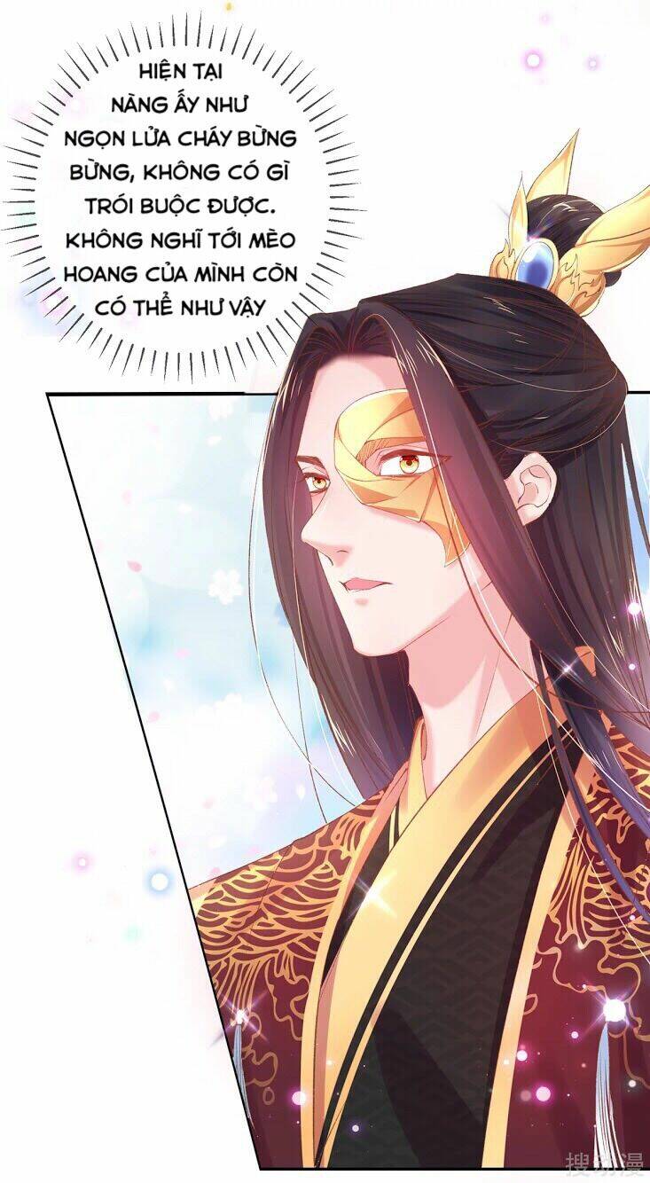 thị huyết y phi chapter 66 22