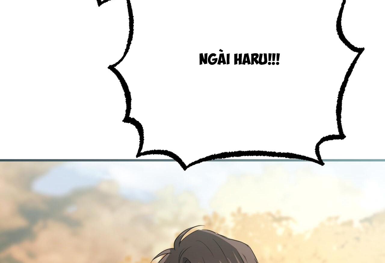 đàn thỏ của habibi chapter 64 306