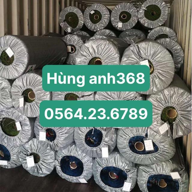 (RẺ NHẤT THỊ TRƯỜNG ) Thảm cỏ nhân tạo 2cm đế thường và đế cao su hàng cao cấp, kích thước 1m2 = 0,5x2m