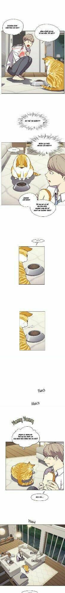 biến thân thành mèo chapter 4 35