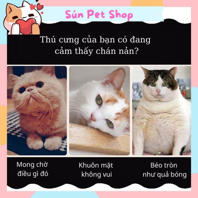 [Combo] Đồ chơi cho chó mèo